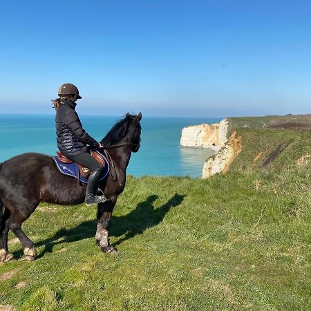 Domaine Equestre Etretat Bed and Breakfast Le Tilleul Εξωτερικό φωτογραφία