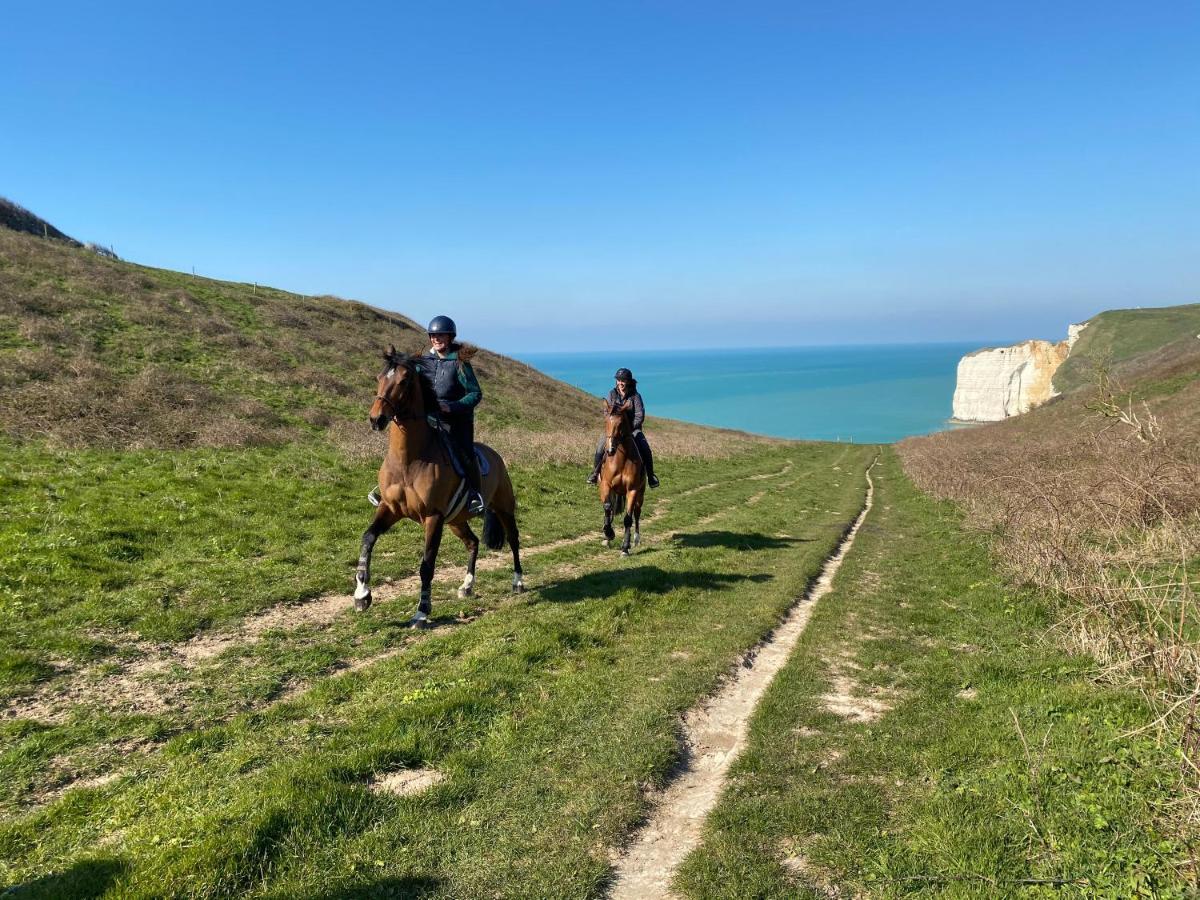 Domaine Equestre Etretat Bed and Breakfast Le Tilleul Εξωτερικό φωτογραφία