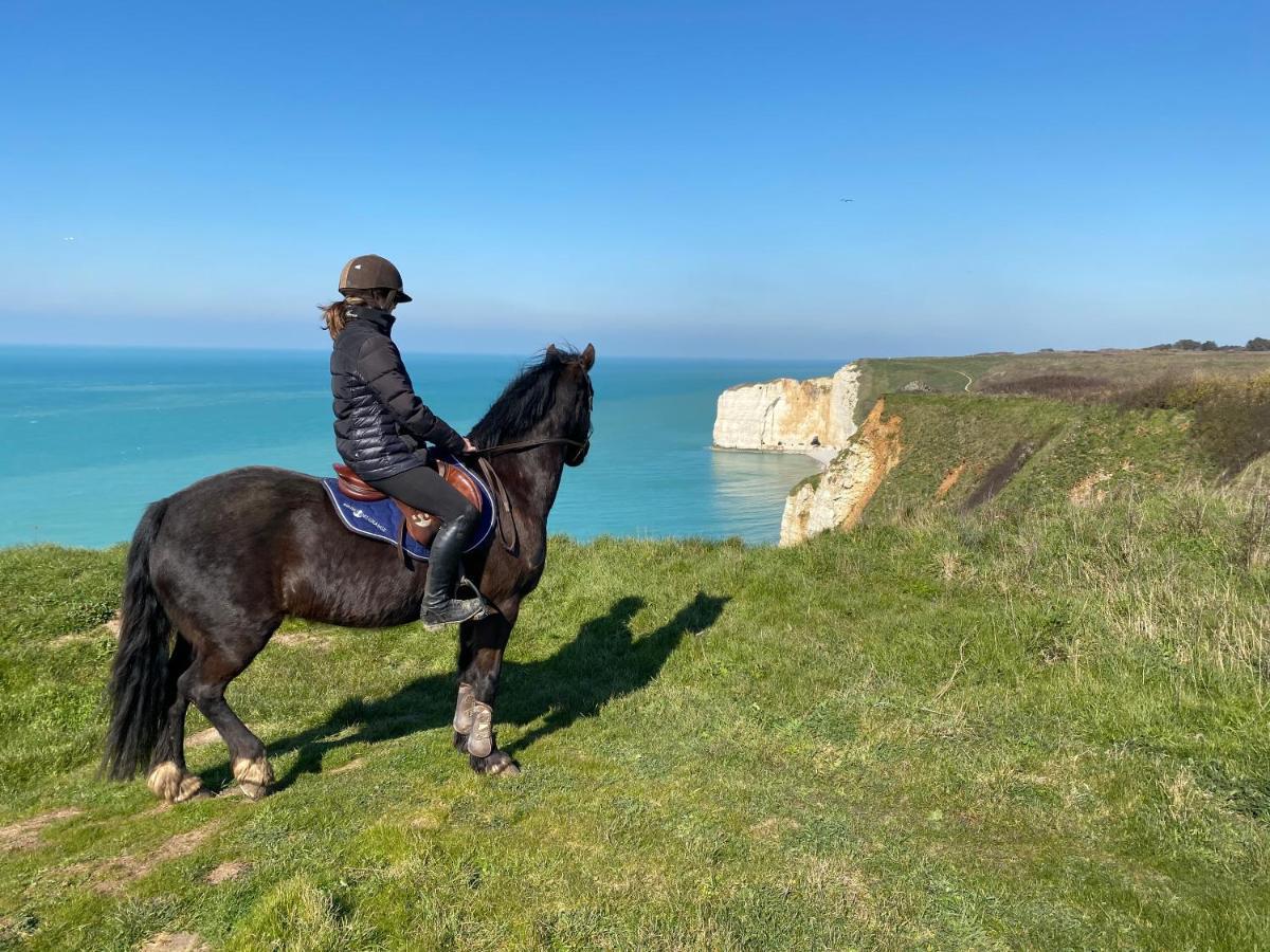 Domaine Equestre Etretat Bed and Breakfast Le Tilleul Εξωτερικό φωτογραφία